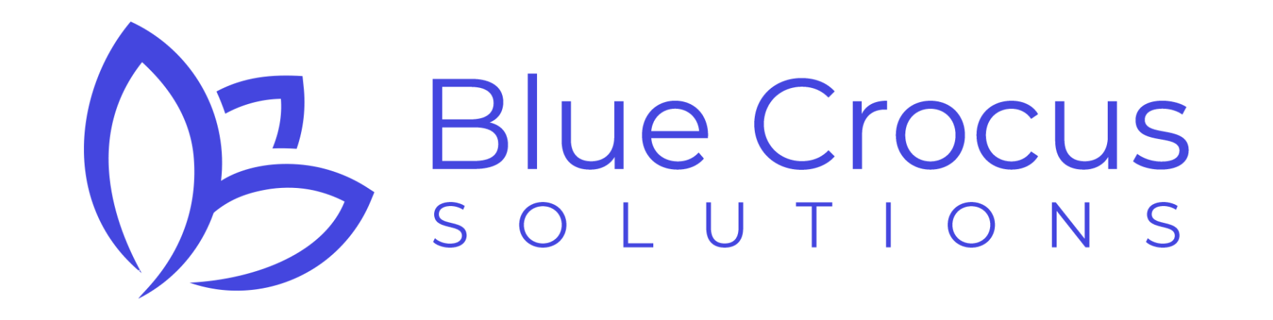 Blue Crocus Solutions